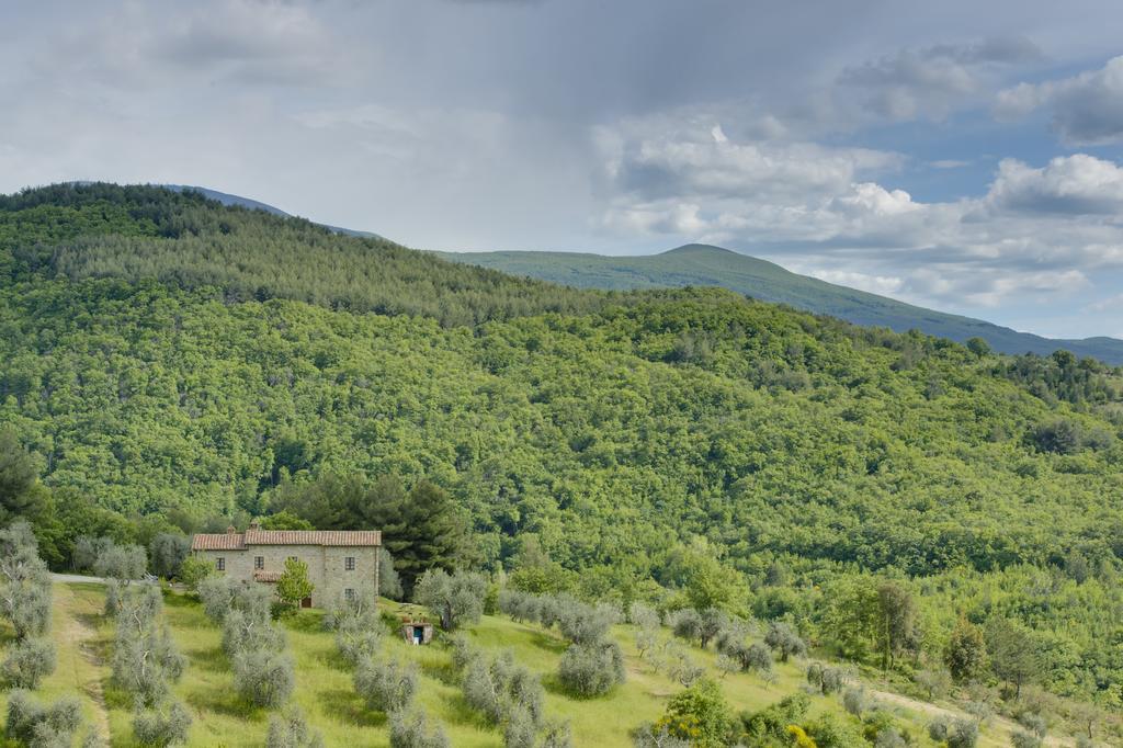 Agriturismo Bindozzino Villa Castiglione dʼOrcia Exterior foto